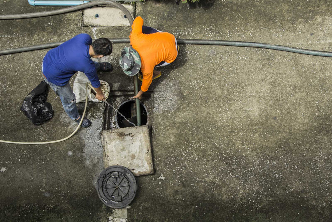 Professional drain cleaning service clearing blocked drains in Auckland