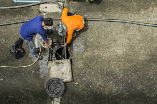 Professional drain cleaning service clearing blocked drains in Auckland